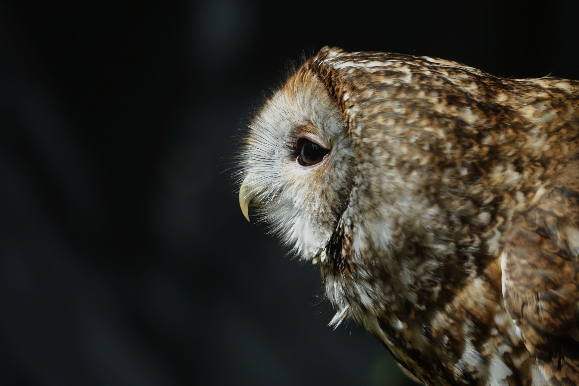 Wildlife and abstract photography exhibition – East Kent Mencap