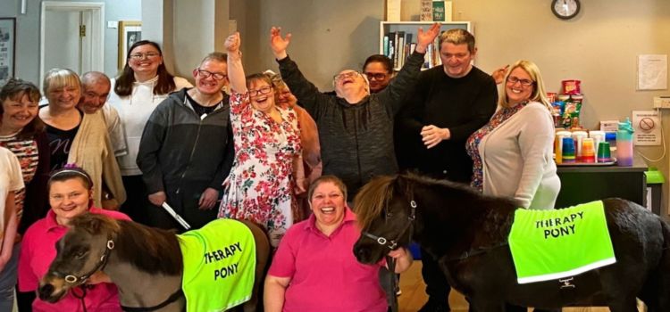 Two brown therapy ponies and members from the Herne Bay Hub
